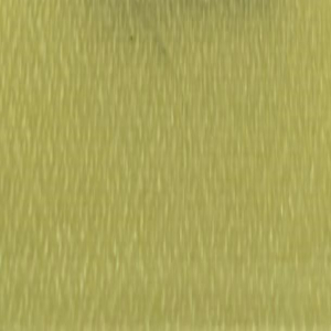 Parrot 017