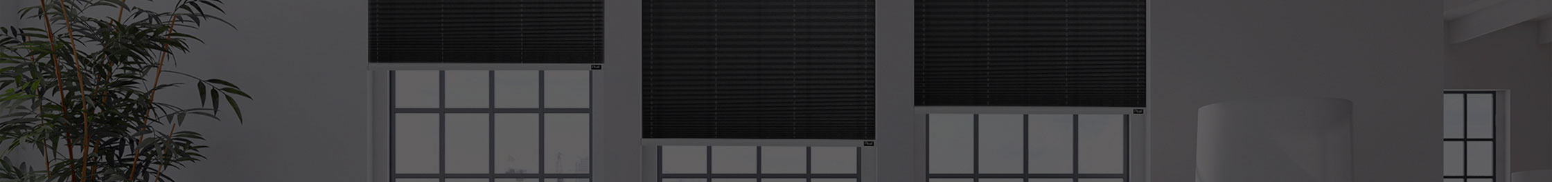 banner-Standart