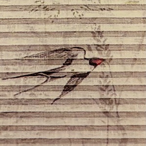 baskıli 4520